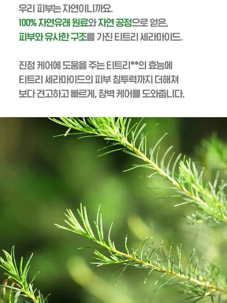 [수분엔젤광] 아이소이 모이스춰 닥터 장수진 수분크림 50ml 1+1 기획 (+20ml) 상세페이지 12